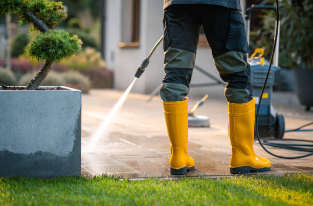 Best Power Washing Near Me  in Waverly, VA